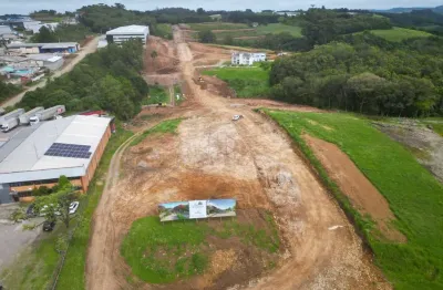 Terreno à venda na Avenida Rio Branco, 200, São Pelegrino, Caxias do Sul