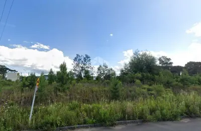 Terreno à venda na Avenida Maurício Sirotsky Sobrinho, 2, São Victor COHAB, Caxias do Sul