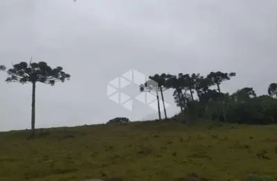 Fazenda à venda na Dos Ilhéus, 420, Zona Rural, Caxias do Sul