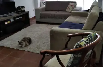 Casa térrea com 5 quartos à venda em vila santo antônio - sp