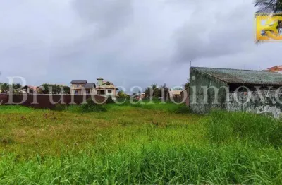 Terreno à venda na Avenida Governador Mário Covas Júnior, Balneário Três Marias, Peruíbe