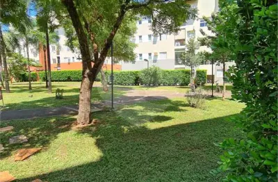 Apartamento com 3 quartos à venda em jardim são josé - sp