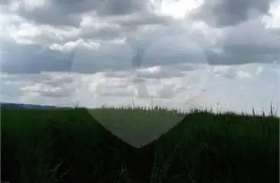 Fazenda com 1 quartos à venda em área rural de ribeirão preto - sp