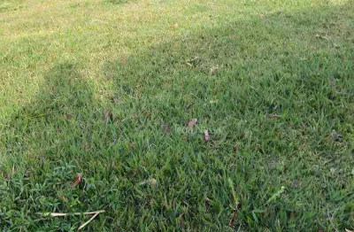 Terreno em condomínio fechado à venda no Condomínio Portal do Bosque, Louveira 