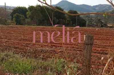 Chácara / sítio à venda na Área Rural, Anhumas, Pouso Alegre