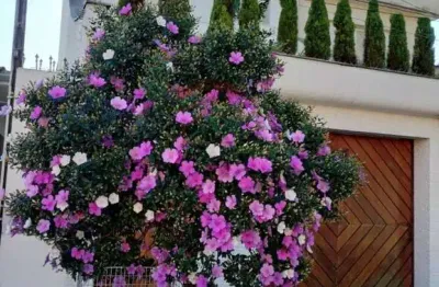 Excelente  sobrado à venda no jardim vila formosa !!