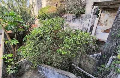 Casa com 3 quartos à venda na Rua Japuruchita, 72, Mooca, São Paulo