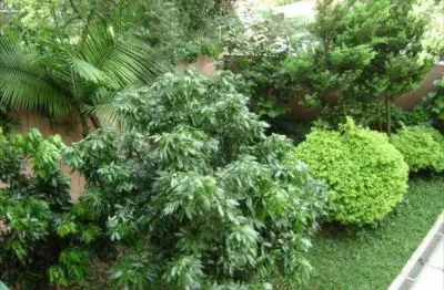 Casa com 4 quartos à venda na Rua Livreiro Saraiva, --, Pacaembu, São Paulo