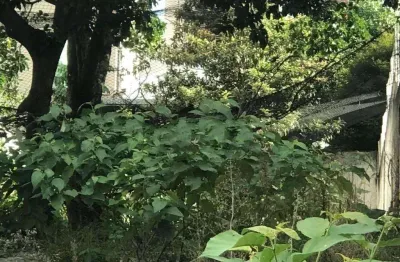 Oportunidade para você que está procurando um terreno nobre em um dos melhores endereços de sp.