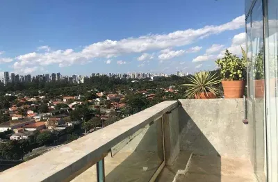 Cobertura vila nova conceiçã, vista para parque ibirapuera
