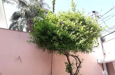 Casa com 3 quartos à venda na Avenida Iraí, --, Moema, São Paulo