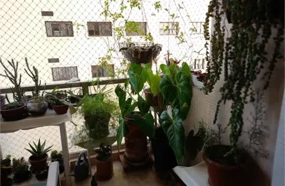 Apartamento com 3 quartos à venda na Rua São Vicente de Paulo, --, Higienópolis, São Paulo