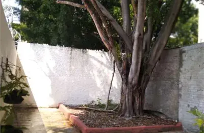 Casa com 4 quartos à venda na Rua Jairo Dias Junior, --, Santo Amaro, São Paulo