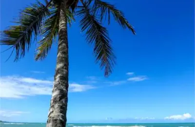 Estancia fasano trancoso, duas casas para desenvolver exclusivas, únicas com vista eterna para o mar