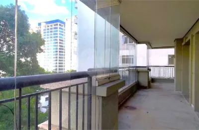 Moema (pássaros) - próximo aos colégios mobile, consa e parque do ibirapuera