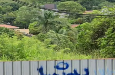 Terreno à venda na Rua Beatriz, --, Vila Beatriz, São Paulo