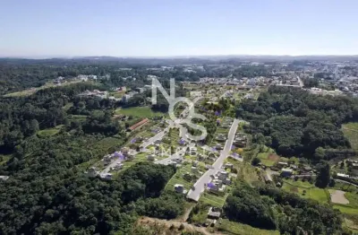 Terreno à venda, desvio rizzo, 350m  caxias do sul - rs