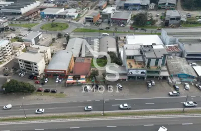 Terreno comercial com 3.181,87m , na br 116 fundos perimetral - sagrada família