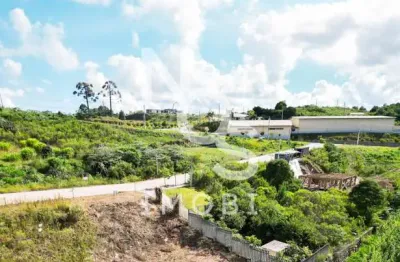 Terreno no loteamento villa romana em flores da cunha