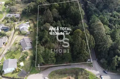 Terreno plano de 9.536,26m  localizado na linha 40 em caxias do sul