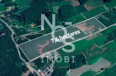 Terras para plantio no travessão 7 de setembro em flores da cunha