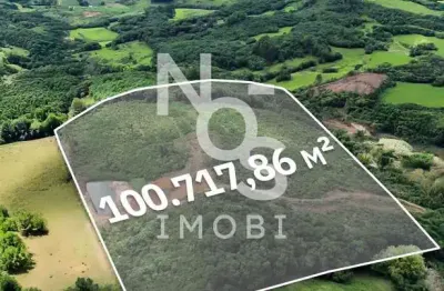 Chácara / sítio à venda na Linha Rodrigues, Próximo A Linha Picheti E São Brás - Ipê, Rs, Zona Rural, Ipê