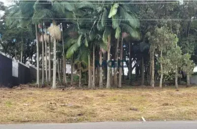 Terreno à venda no bairro cidade industrial - curitiba/pr