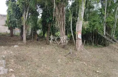 Terreno 490m2 à venda, jardim das gaivotas, caraguatatuba, sp