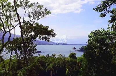 Terreno de 2002m² com vista privilegiada e à 05 minutos da praia, à venda na praia grande, ilhabela