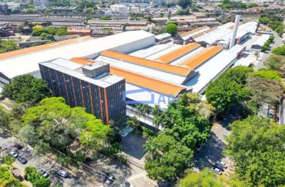 Galpão industrial logístico para locação - 2557 m² - lapa - são paulo - sp