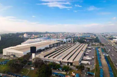 Galpão logístico para locação - 3.035 m² - cumbica - guarulhos - sp
