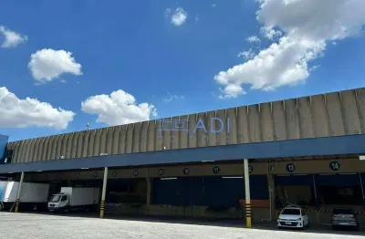 Galpão logístico para locação - 5.895 m² - alphaville - barueri - sp