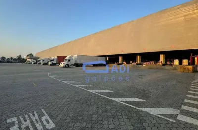 Galpão industrial/logístico monousuário - locação - 34.173 m² - rod. dutra - guarulhos - sp