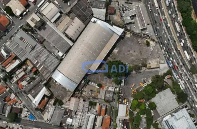 Galpão logístico 8.615 m² - locação - vila guilherme - marginal tietê
