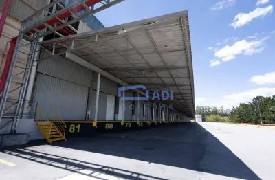 Galpão 36175 m² – 80 docas crossdocking – anhanguera/cajamar