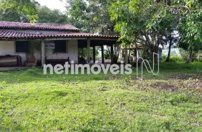 Fazenda à venda na Rodovia BR-324, Distrito Industrial, Candeias