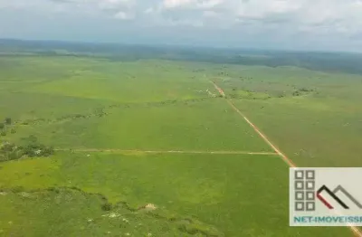 Fazenda (27.000 hectares), casa sede, curral para manejo de animais. bom jesus do araguaia, pólo do agronegócio