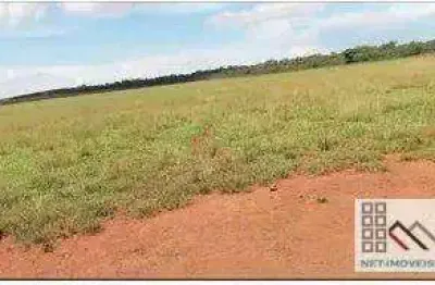 Fazenda (5.200 hectares). alto potencial para criação e engorda de gado no vale do araguaia