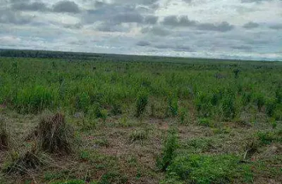 Fazenda (8.880 hectares). alto potencial para agropecuária e lavoura