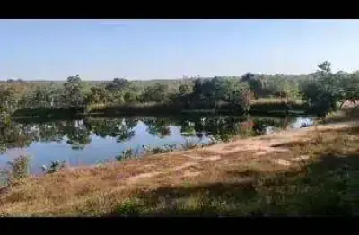 Linda fazenda (324 hectares), oportunidade para o seu agronegócio