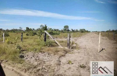 Fazenda (17.500 hectares). regão conhecida por solos altamente férteis e valorizada
