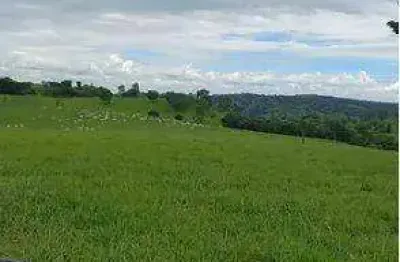 Fazenda (126 alqueires). fazenda com completa benfeitoria e infraestrutura