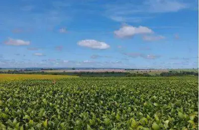 Fazenda lindíssima (350 alqueires). fazenda com completa infraestrutura para o seu agronegócio