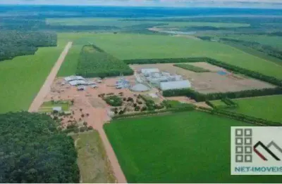 Fazenda (27.000 hectares), sede espetacular, grande potencial de fabricação e comércio de biodisel