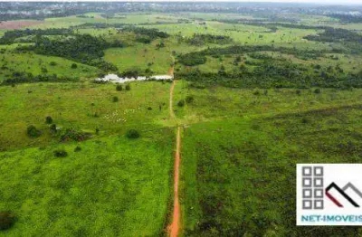 Fazenda (4.598 hect), juara, faz parte do noroeste mato-grossense, um dos polos de expansão do agronegócio