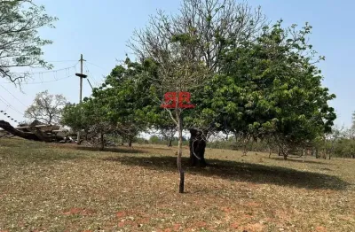 Fazenda à venda no Centro, Bauru 