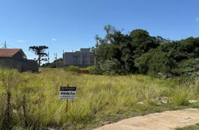 Terreno à venda na Rua Miguel Losso, 1717, Industrial, Guarapuava