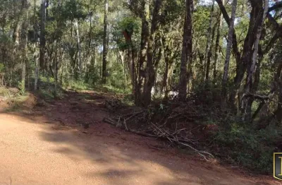 Chácara / sítio à venda na Vila Jordão, Guarapuava 