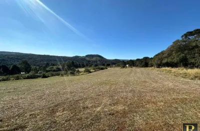 Chácara / sítio à venda na Vila Jordão, Guarapuava 