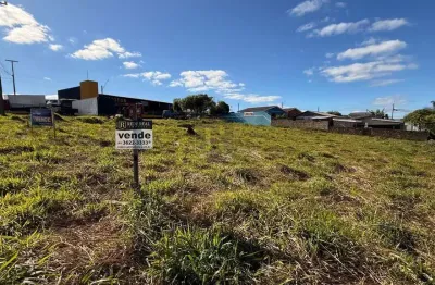 Imóvel comercial para venda em guarapuava, primavera
